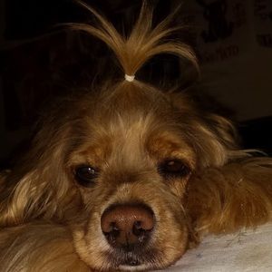 Meet your Posher, Tabitha